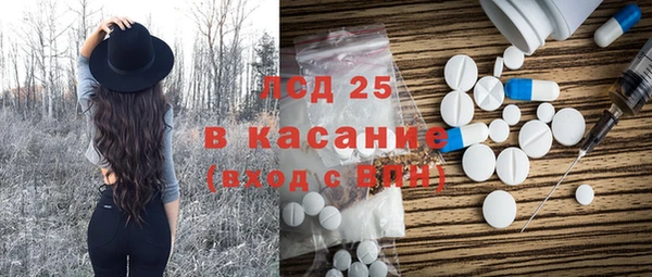 spice Аркадак