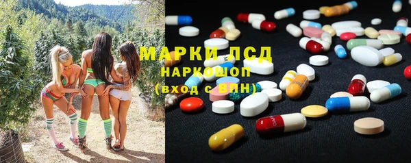 spice Аркадак