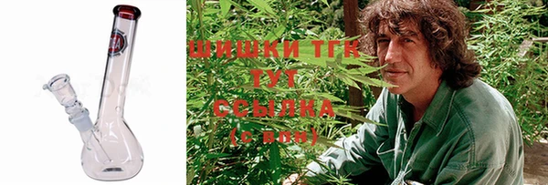 spice Аркадак