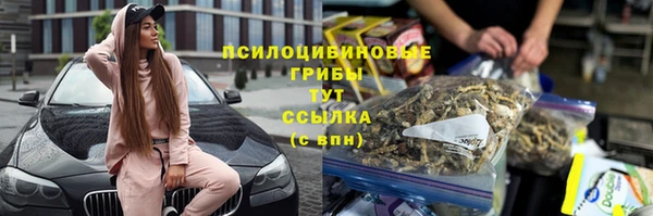 дживик Армянск